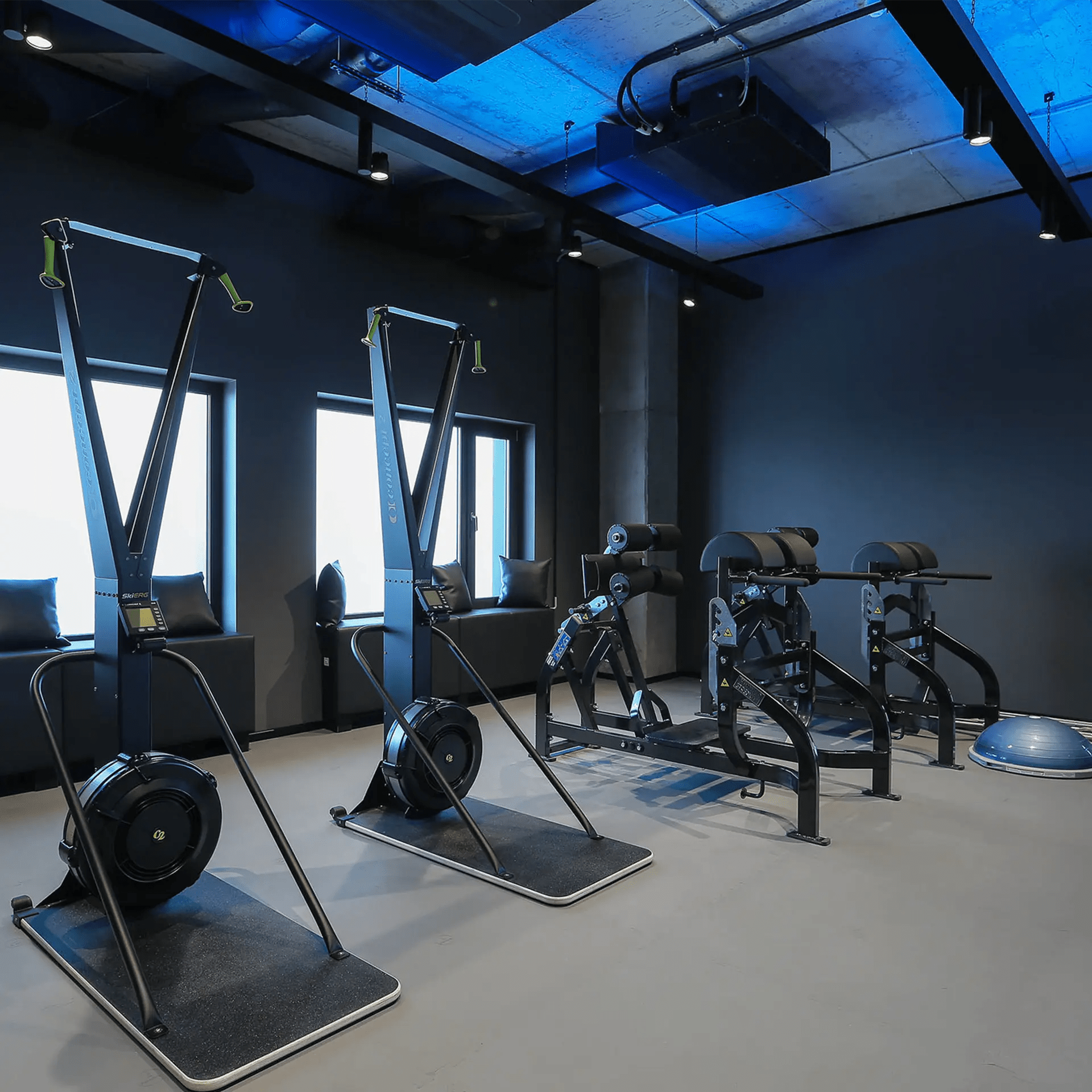 Pavigym Performance+ Bodenmatte ARTZT 4