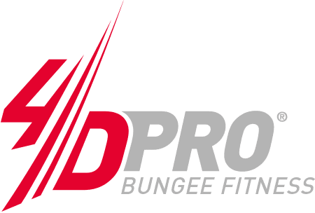 Logo 4D PRO