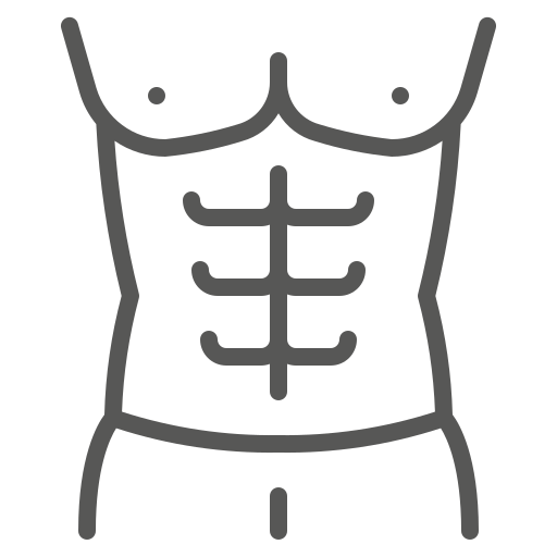 Icon Bauchmuskulatur