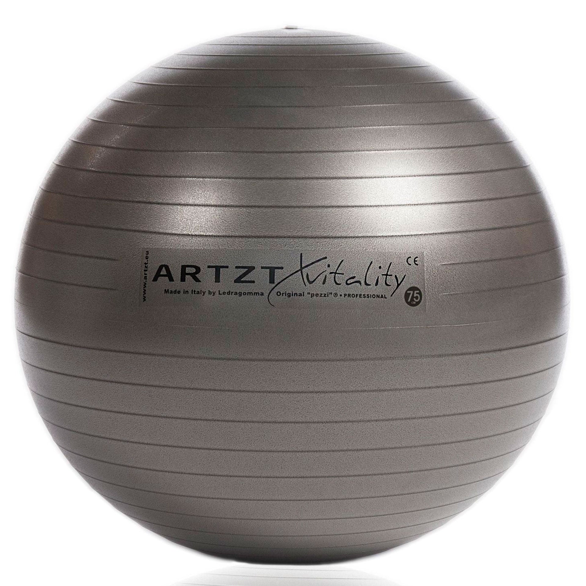 Gymnastikball Gymnastikball ARTZT thepro 75 cm  